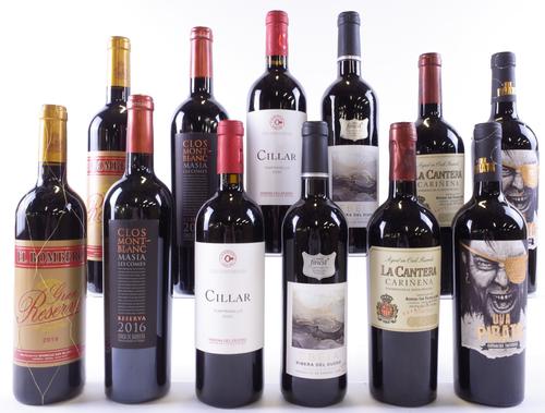 12 BOTTLES SPANISH RED WINE