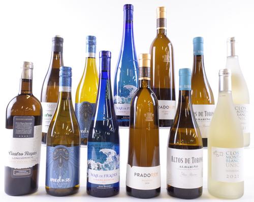 12 BOTTLES SPANISH WHITE WINE