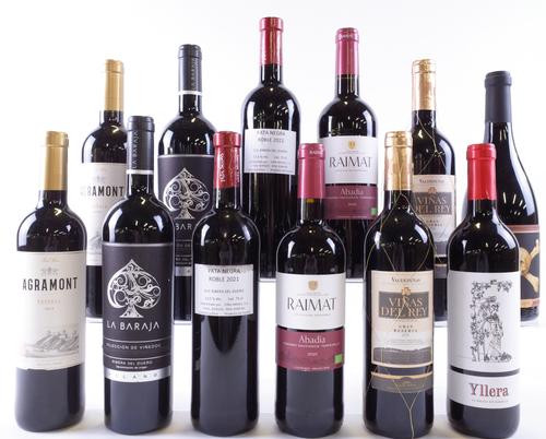 12 BOTTLES SPANISH RED WINE