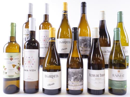 12 BOTTLES SPANISH WHITE WINE