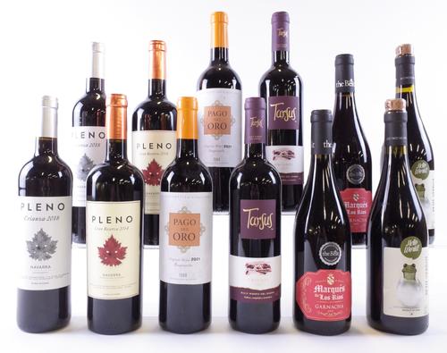 12 BOTTLES SPANISH RED WINE