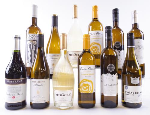12 BOTTLES SPANISH WHITE WINE