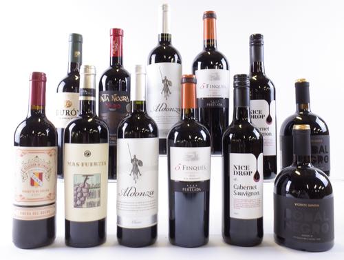 12 BOTTLES SPANISH RED WINE