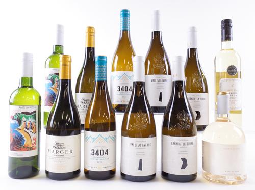 12 BOTTLES SPANISH WHITE WINE