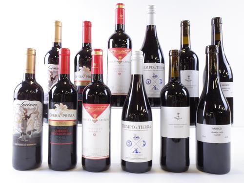 12 BOTTLES SPANISH RED WINE