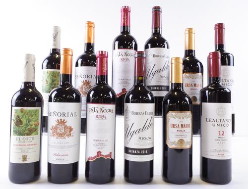 12 BOTTLES RIOJA