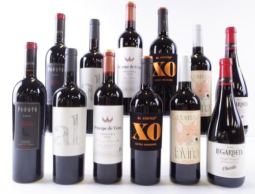 12 BOTTLES SPANISH RED WINE