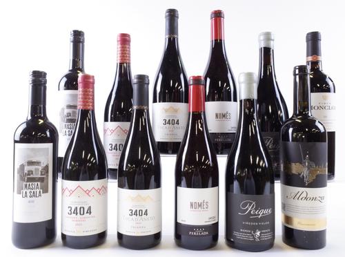12 BOTTLES SPANISH RED WINE
