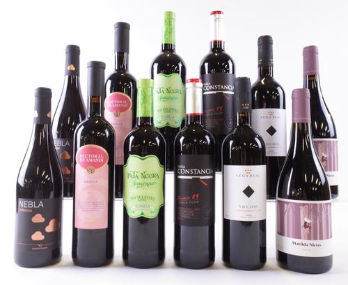 12 BOTTLES SPANISH RED WINE