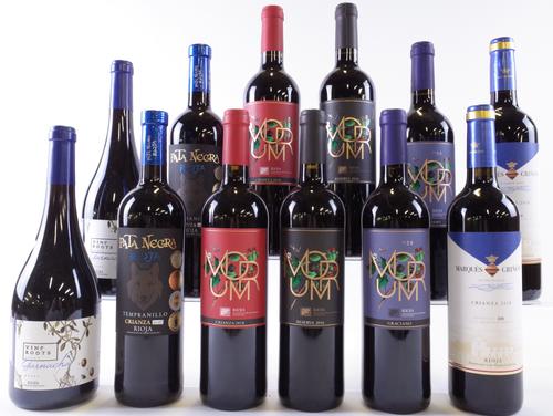 12 BOTTLES RIOJA