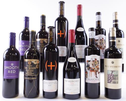 12 BOTTLES SPANISH RED WINE