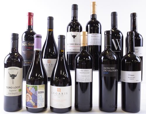 12 BOTTLES SPANISH RED WINE