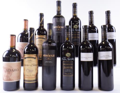 12 BOTTLES SPANISH RED WINE
