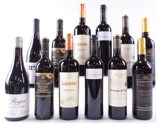 12 BOTTLES SPANISH RED WINE