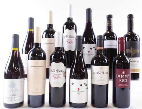 12 BOTTLES SPANISH RED WINE