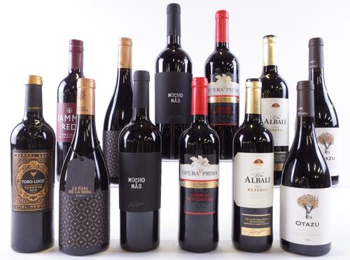 12 BOTTLES SPANISH RED WINE