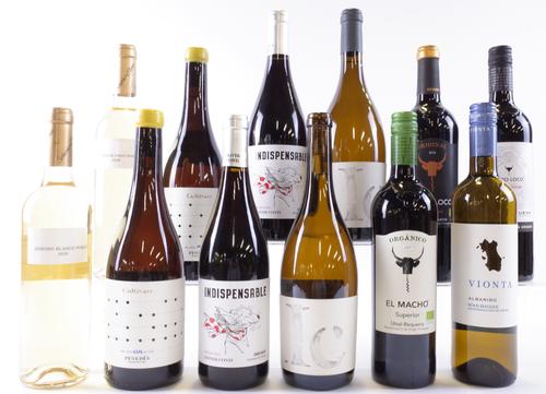 12 BOTTLES SPANISH WHITE WINE