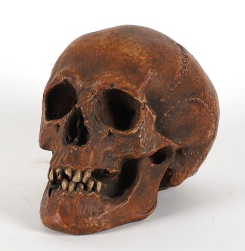 A PAINTED PLASTER MODEL OF A HUMAN SKULL