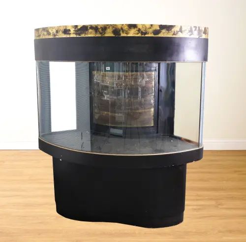 A LARGE FREE STANDING PARCEL GILT AND EBONISED  DISPLAY CABINET/ CUPBOARD