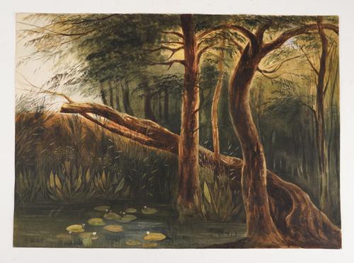 AFTER ANDREW NICHOLL