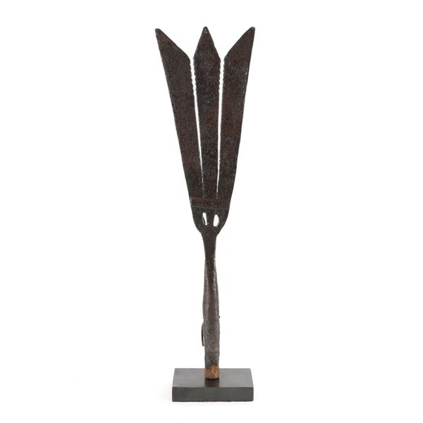AN EEL SPEAR HEAD