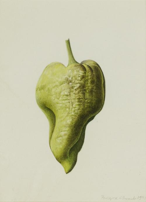 BRIGID EDWARDS (BRITISH, B. 1940)