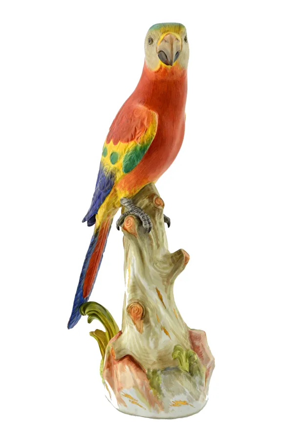 A Meissen model of a parrot, late 19th century, with blue crossed swords mark, incised model No 53X, pressnummer 89, naturalistically modelled on a tr
