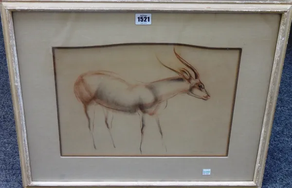 John Rattenbury Skeaping (1901-1980), Deer, pencil and red chalk, signed and dated '31, 26cm x 38cm. DDS