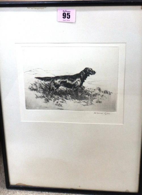 David Gibb (early 20th century), Setter, etching, signed in pencil.