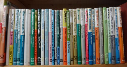 SHELL GUIDES - 29 English County vols./ 4 Welsh areas, & Scotland (W. Coast). illus., d/wrappers. (various editions)