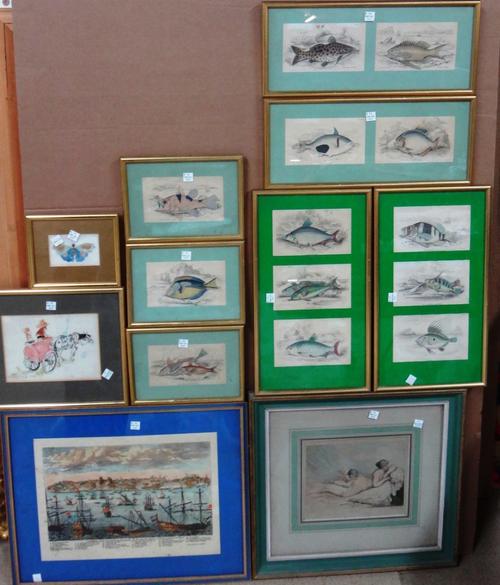 A group of assorted prints and engravings, including, twenty five engravings of fish, framed as 19, 'Pepose' by Rowlandson after Boucher, a hand colou