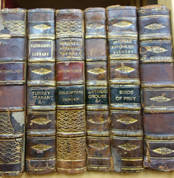THE NATURALIST'S LIBRARY,  6 various vols., num. coloured plates & other illus.; old half calf & marbled boards, sm. 8vo. Edinburgh, (ca. 1840).  *  c