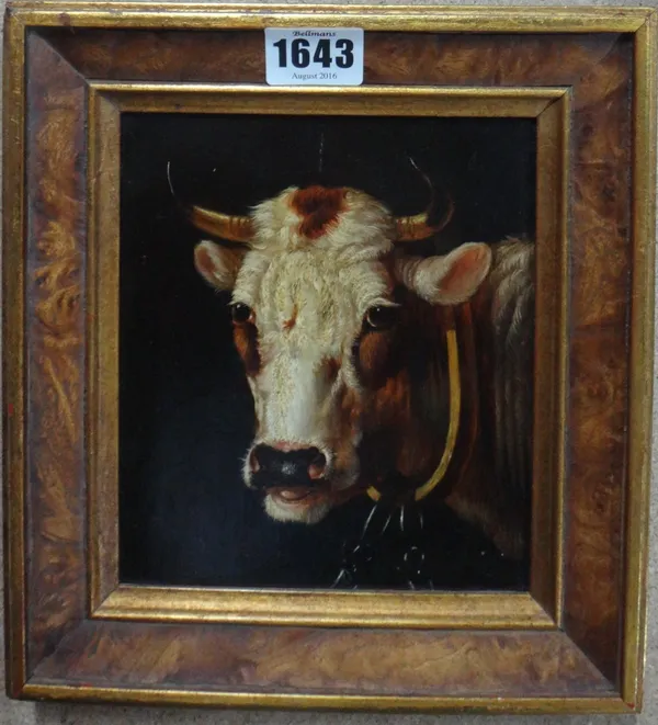 Albertus Verhoesen (1806-1881), A Short horned bull, oil on panel, signed and dated 1844, 19.5cm x 13.5cm.