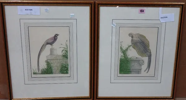 A pair of modern colour etchings of exotic birds.(2)