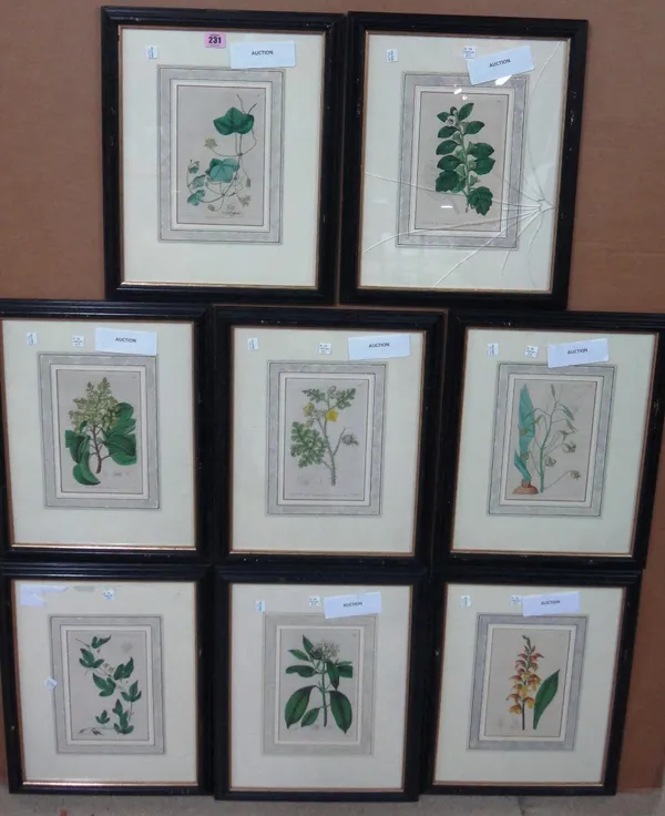 A group of assorted chromolithographs and engravings with hand colouring of botanical subjects.(17)