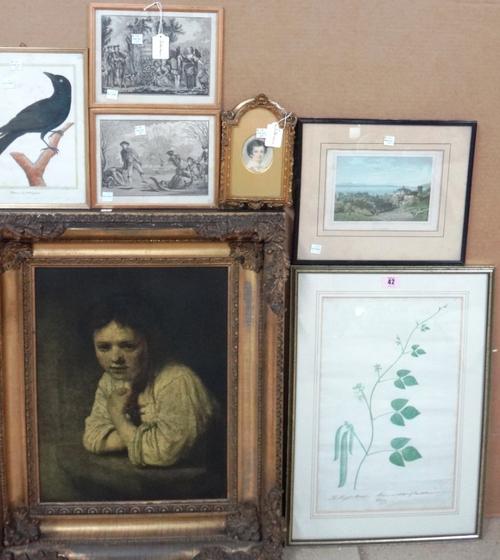 A group of seven, including a 19th century botanical watercolour study of the Huzzar Bean, a print of a child after Rembrandt, a hand coloured engravi