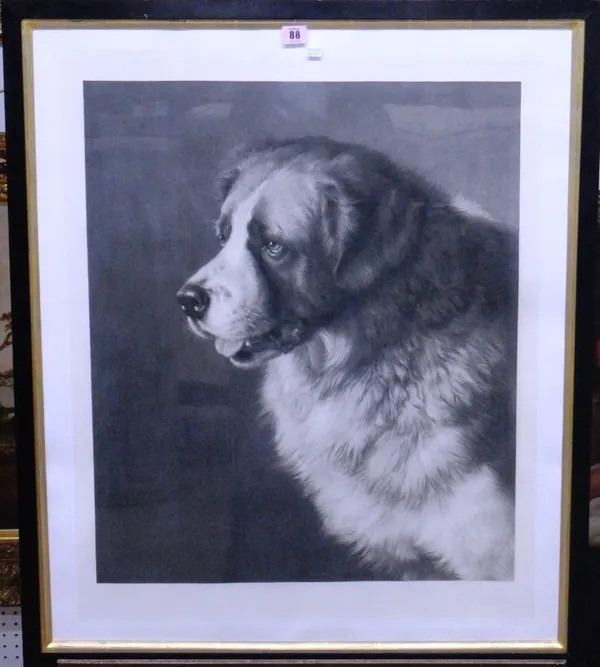 Frank Paton, Great Dane, engraving by Joseph B. Pratt, signed in pencil by artist and engraver.
