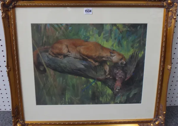 Arthur Wardle (1864-1949), Puma and Macaw, gouache and pastel, signed, 35cm x 47cm. DDS