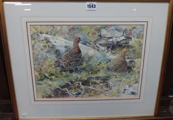 Peter Partington (20th century), Two Whinchats; Partridges dusting; Grouse, three watercolours, all signed, the largest 25cm x 35.5cm.(3)