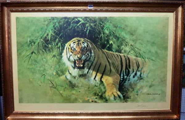 David Shepherd (b.1931), Tiger Fire, laminated colour reproduction, with blindstamp, signed in pencil, 66cm x 106cm. DDS