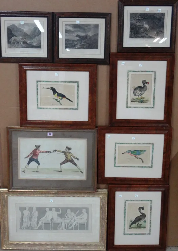 A group of assorted prints including four hand coloured ornithological engravings, a hand coloured engraving of two men fencing, three dog engravings,