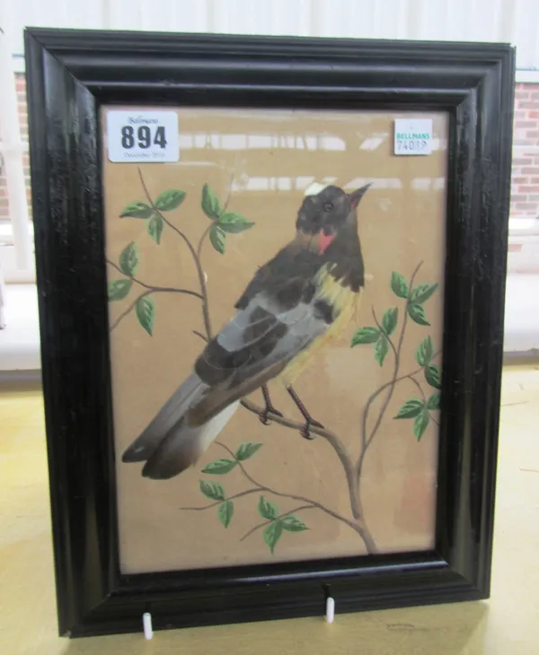 Three decoupage pictures of wild birds, late 19th/early 20th century, each with applied feathers against a painted ground, 23cm x 16cm, framed and gla