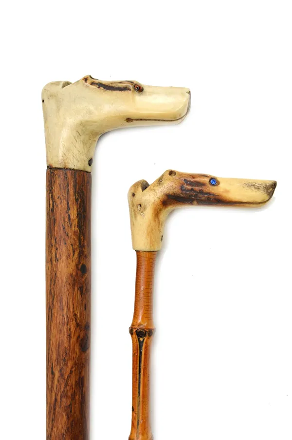 A carved horn 'dog's head' walking stick handle, early 20th century, with whistle to the rear and inset glass eyes, 87cm, and another similar smaller