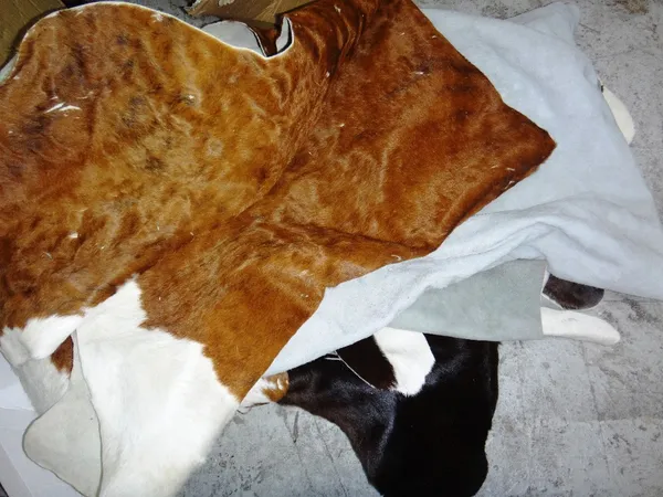 A group of four cow skin rugs.