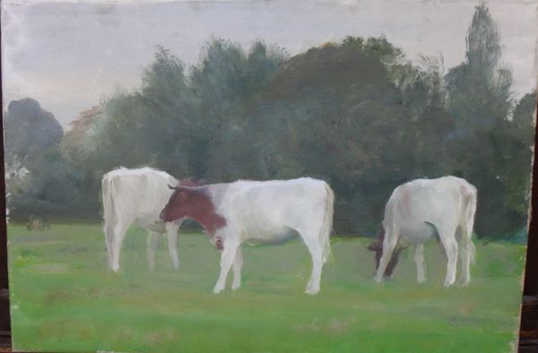 Douglas Stannus Gray (1890-1959), Three cows, oil on canvas, unframed, 38cm x 56cm. DDS