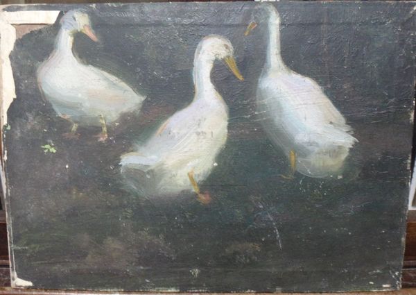 Douglas Stannus Gray (1890-1959), Three ducks, oil on canvas laid on board, unframed, 25cm x 35.5cm. DDS