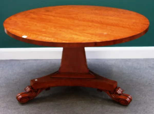 A William IV satinwood centre table, the circular snap top on flared triangular column and three scroll feet, 130cm wide.
