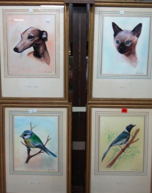 Alfred de Wiary (20th century), Graculus; Merops Opis; Vertraha Femina; Siamois, four acrylic, all signed and dated 1969, together with a bird study b