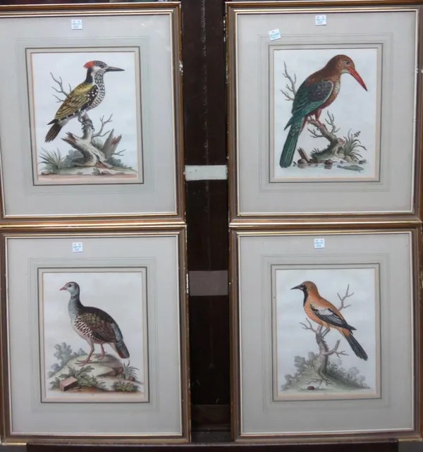 After George Edwards, Bird Studies, six engravings with hand colouring, together with four further bird prints by another hand. (10)