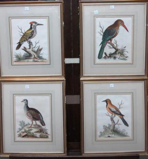 After George Edwards, Bird Studies, six engravings with hand colouring, together with four further bird prints by another hand. (10)